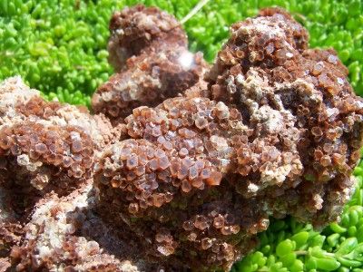 An absolutely beautiful Aragonite Specimen covered with large Crystals 