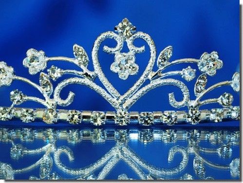 Bridal Wedding Crown Veil Pageant Homecoming Prom Crystal Tiara C8865 