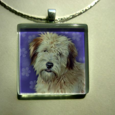 SOFT COATED WHEATEN TERRIER DOG GLASS TILE PENDANT  