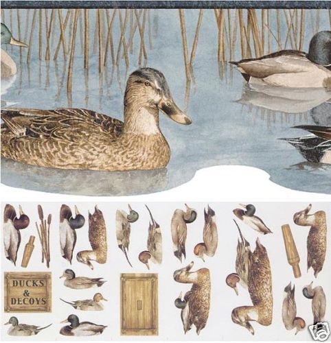 MALLARD DUCKS Wallpaper Border & Companion SPANGLES  