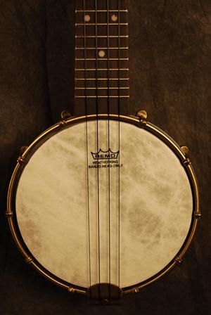 aNueNue Banjo 1 Soprano Ukulele Banjolele Case NEW  