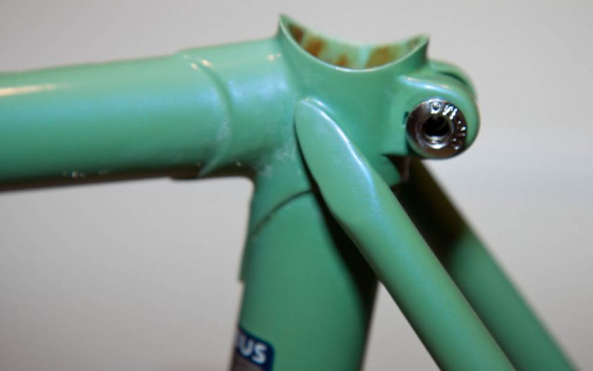 Bianchi Frameset and Fork  