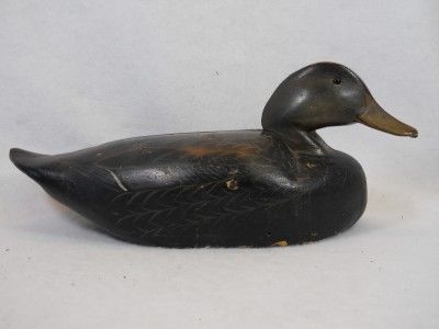 Vintage Black Duck Working Decoy Southern Lower Eastern Shore 