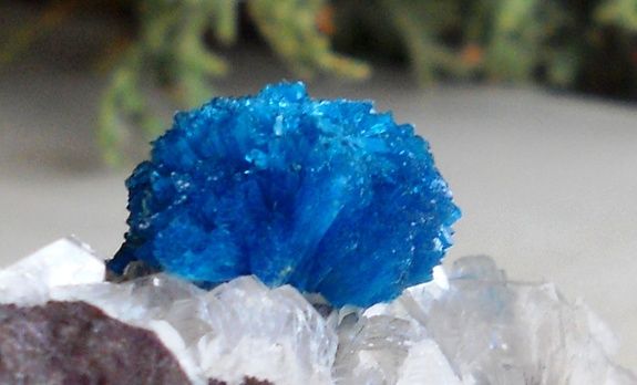 INCREDIBLE BLUE CAVANSITE CRYSTAL CLUSTER   FROM POONA, INDIA  