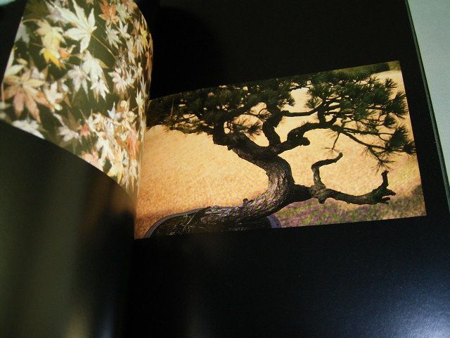 David Hamilton Photo book / JUN MIHO / Printed in Japan  