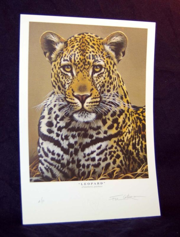     AUTOGRAPHED PRINT/FUZ CAFORIO   DE WILDT CATS 8.5x11 UNFRAMED