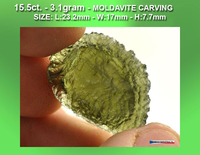 MOLDAVITE HAND CARVED CARVING TRILOBITE = 15.5cts  