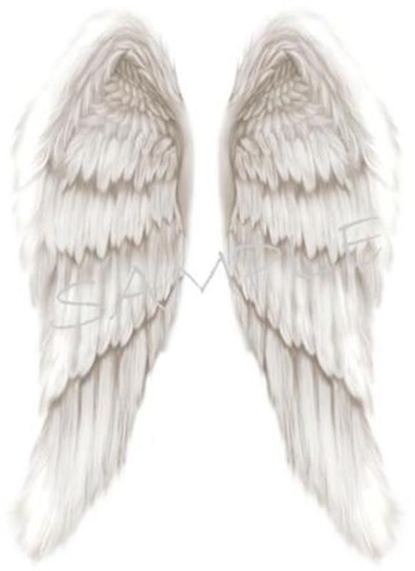 Edible Cake Image   Angel Wings   Rec  