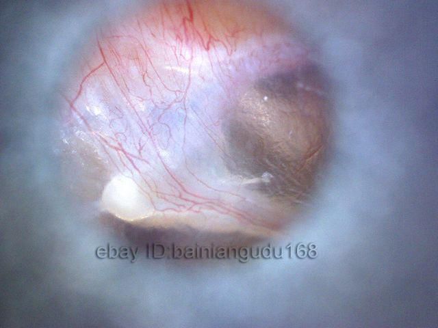 features functions and applications as a usb microscope it 