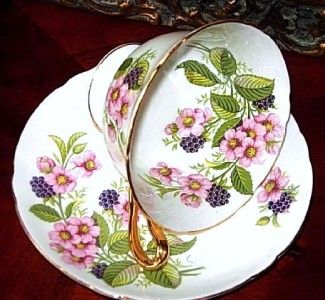 Shelley BRAMBLE FRUIT BLACKBERRY Tea Cup and Saucer  