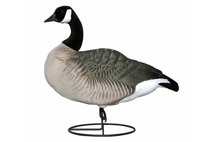 Dakota Decoy Company Premium Canada Goose Gunning Decoys