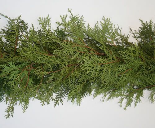 Cedar Christmas Garland  