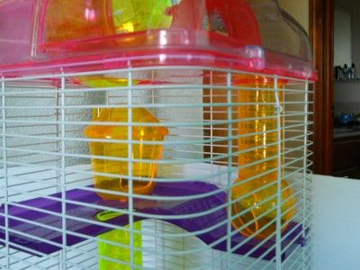 Level Clear Plastic Dwarf Hamster, Mice Cage with Ball on Top, Blue 