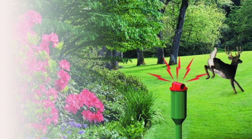 Havahart® Electronic Deer Repellent Model 5250  