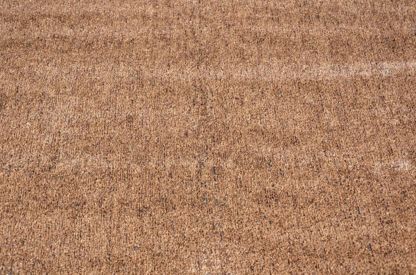 Indoor/Outdoor Brown/Tan Grass Turf Area Rug 6x8  