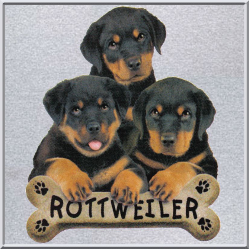 Rottweiler Puppies Dog Breed Bone SWEATSHIRT S 2X,3X,4X  