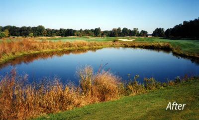   Water Clarifier, and 2 8 oz. package of SePRO Blue* Pond Colorant